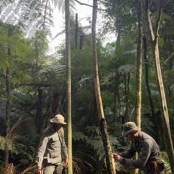 PF e ICMBio prendem caçador armado dentro do Parque Nacional do Iguaçu