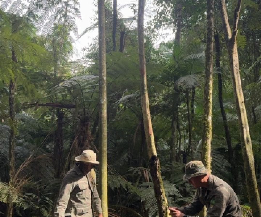 PF e ICMBio prendem caçador armado dentro do Parque Nacional do Iguaçu