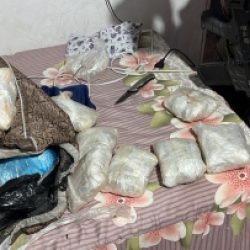 PF e PM apreendem haxixe marroquino e maconha tipo capulho em operação na fronteira