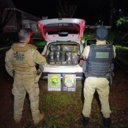 PF e PM apreendem mais de uma tonelada de maconha em Santa Helena