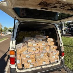 PF e PM apreendem vans, embarcações e três toneladas de frango em tentativa de travessia irregular no Rio Paraná