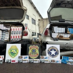 PF e Receita Federal apreendem cigarros contrabandeados na PR-585