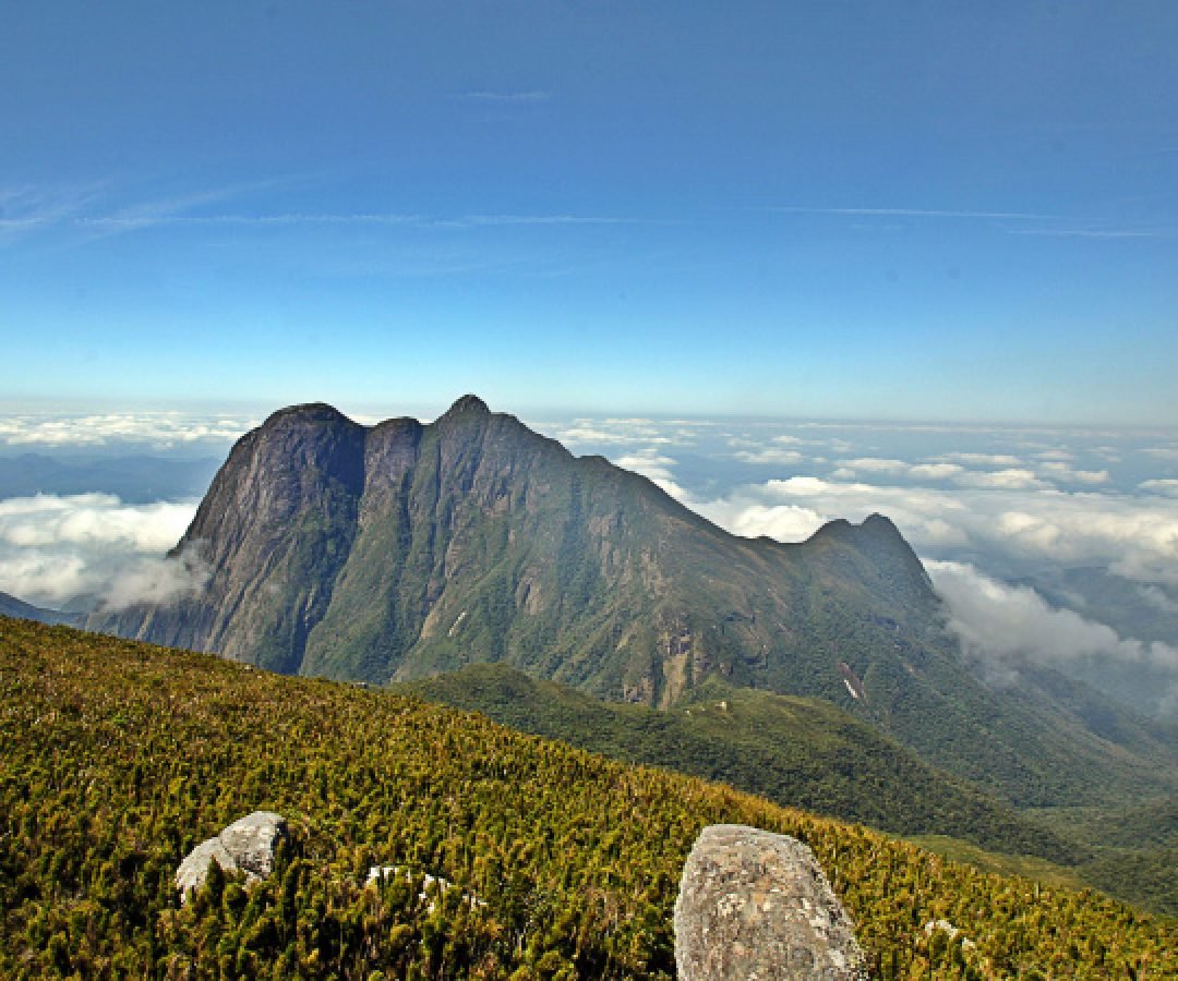 IAT reforça cuidados especiais em áreas de campos de altitude do Pico Paraná