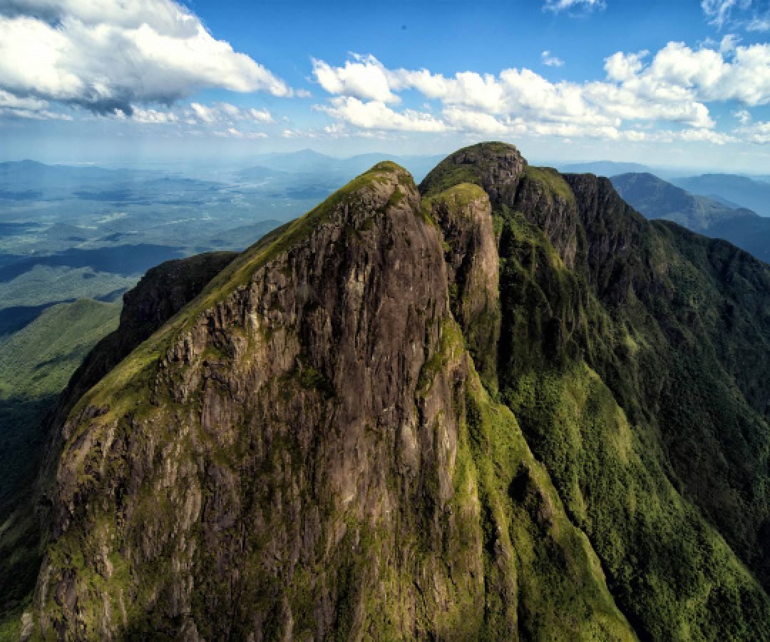 Secretaria da Saúde alerta sobre cuidados essenciais para quem frequenta áreas de mata no verão