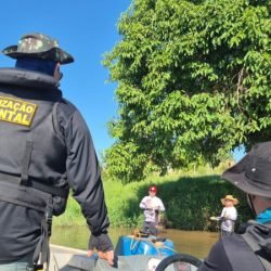 IAT apreende 222 quilos de peixe e aplica R$ 169,2 mil em multas durante a Piracema