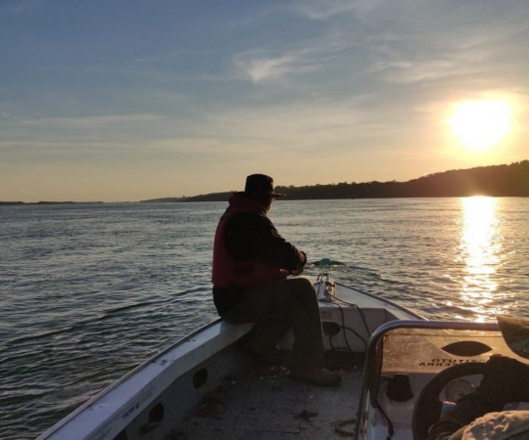 Piracema: restrição de pesca começa neste sábado e vai até 28 de fevereiro no Paraná