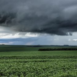 Após classificação de tornado em Mercedes, temporais dão trégua no Paraná no fim de semana