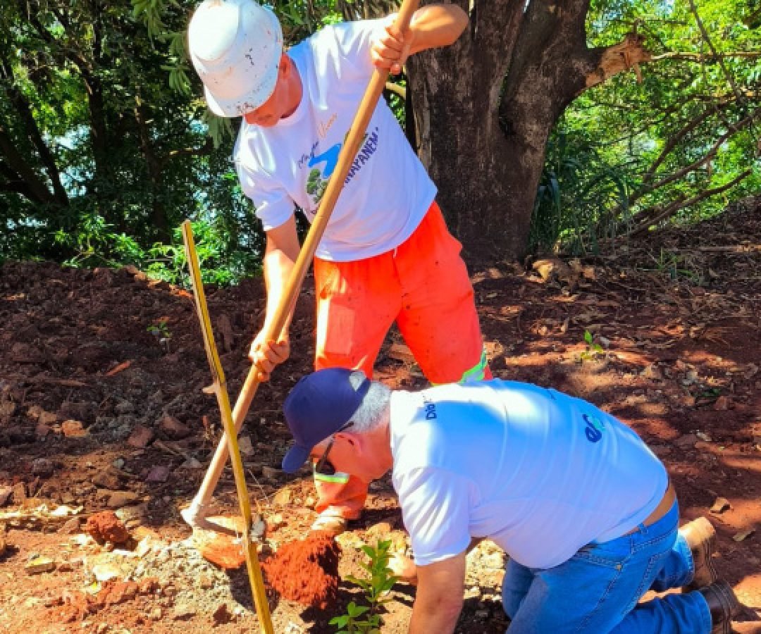 IAT e EPR Litoral Pioneiro promovem recuperação de mata ciliar no Rio Paranapanema