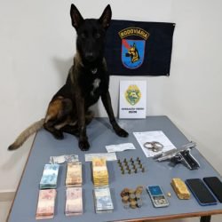 Olho Vivo auxilia PMPR na prisão de dois homens por tráfico de drogas em Guaratuba