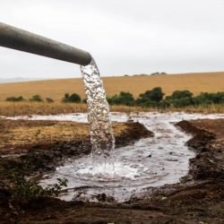 Dia Mundial da Água terá plantio de mudas, limpeza de rios e oficinas educativas