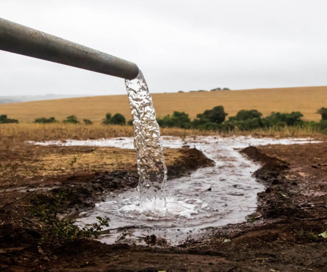Dia Mundial da Água terá plantio de mudas, limpeza de rios e oficinas educativas