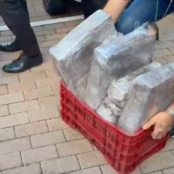Polícia Civil apreende grande quantidade de maconha em Cascavel