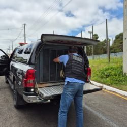 Polícia Civil conclui inquérito sobre tentativa de homicídio em Castro