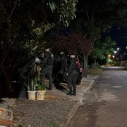 Polícia Civil deflagra Operação Konomashi e cumpre mandados contra organização que furtava camionetes de luxo