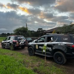 Polícia Civil prende 23 suspeitos por caça de animais silvestres no Paraná, Santa Catarina e Mato Grosso
