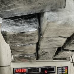 Polícia Militar apreende quase 48 kg de maconha e prende quatro pessoas em Cascavel