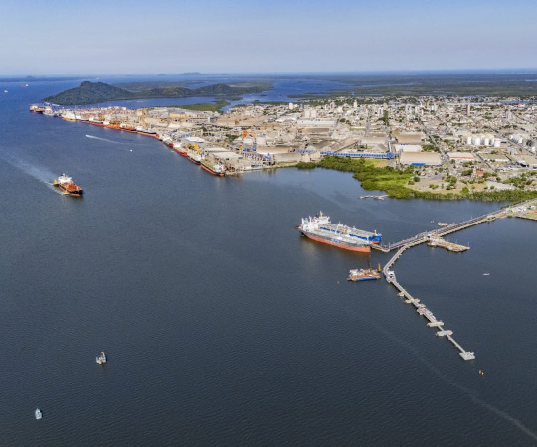 Porto de Paranaguá concentra 70% das exportações brasileiras de óleo de soja no 1º trimestre