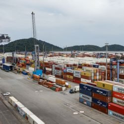 Nove produtos paranaenses tiveram crescimento superior a 30% nas exportações em 2025