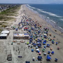 Saúde orienta para prevenir e o que fazer em acidentes com águas-vivas durante o Carnaval