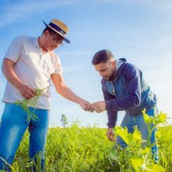 Paraná investe R$ 3,5 milhões para impulsionar pesquisa com instituições de quatro países