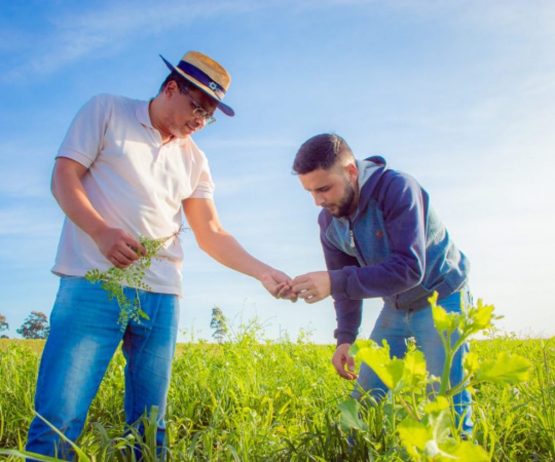 Paraná investe R$ 3,5 milhões para impulsionar pesquisa com instituições de quatro países