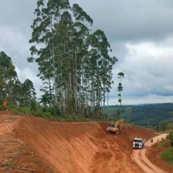 PR-092 em Doutor Ulysses será interditada devido a risco de deslizamento de terra