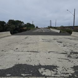 Obra de pavimentação da PR-364 em Irati é retomada após conclusão de estudo sobre fósseis