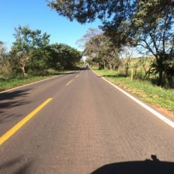 DER/PR contrata elaboração de projeto para restaurar e ampliar a PR-542 em Colorado