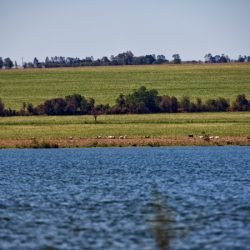 Quatro comitês de bacias hidrográficas se reúnem para discutir a gestão da água no Paraná