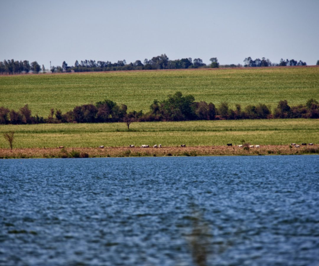 Quatro comitês de bacias hidrográficas se reúnem para discutir a gestão da água no Paraná