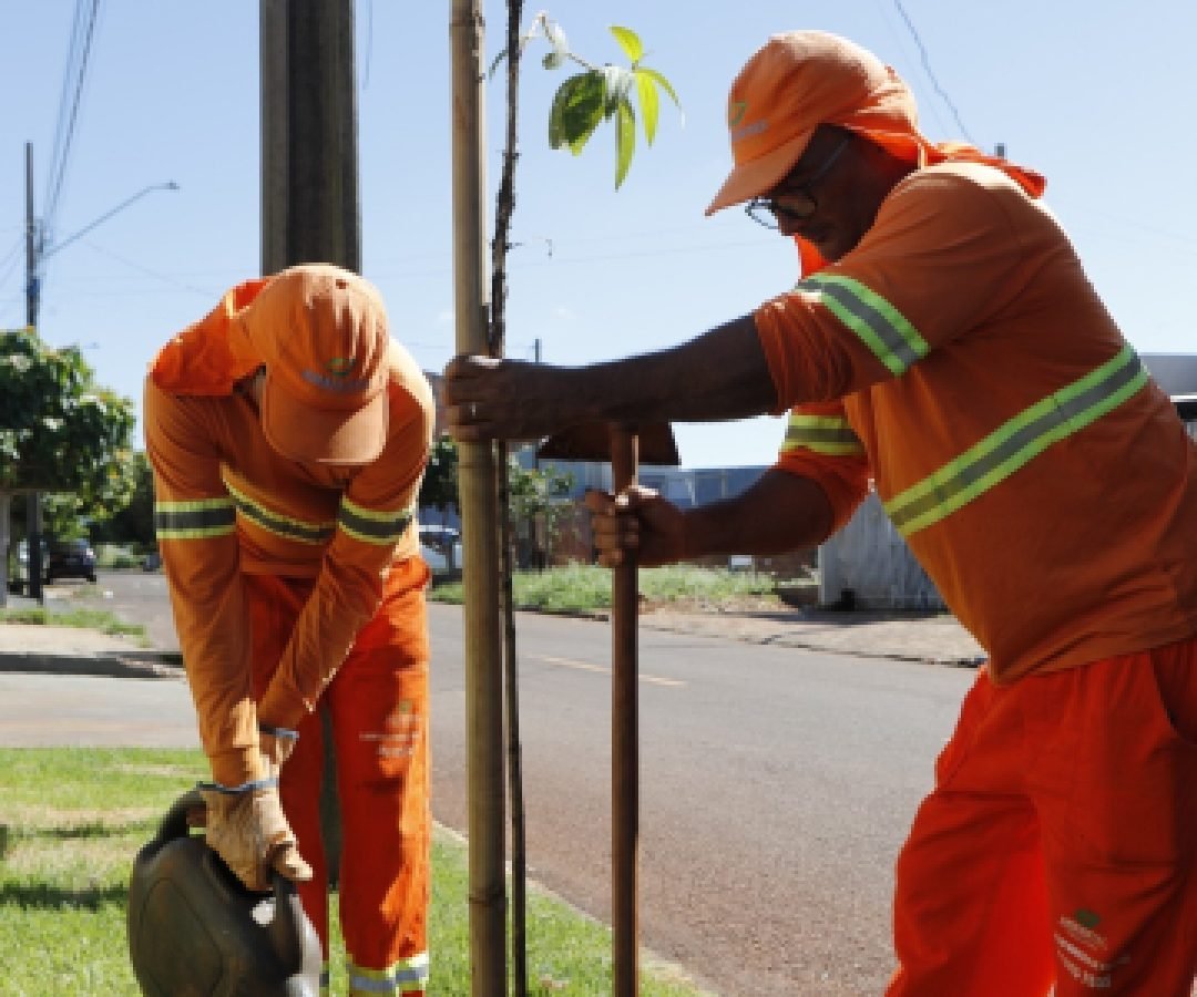 Prefeitura lança programa “Cascavel Mais Verde” com plantio de mil árvores