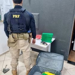 PRF apreende maconha e arma de fogo com passageiro de ônibus na BR-277