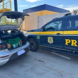 PRF apreende mais de 180 kg de maconha na BR-487, em Alto Paraíso