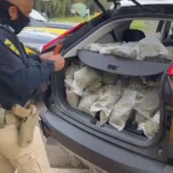 PRF apreende mais de 200 quilos de maconha durante fiscalização na BR-277, em Guarapuava