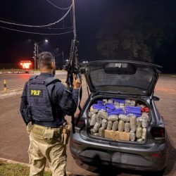 PRF apreende quase meia tonelada de maconha após perseguição na BR-277, no Oeste do Paraná
