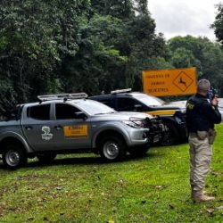 PRF e ICMBio realizam fiscalização conjunta no Parque Nacional do Iguaçu