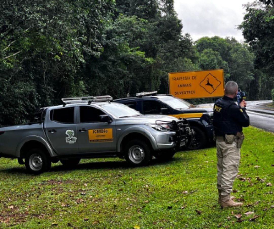 PRF e ICMBio realizam fiscalização conjunta no Parque Nacional do Iguaçu