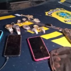 PRF frustra roubo a ônibus em Campo Mourão e prende suspeito