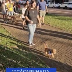 Primeira Cãominhada VidAcic reúne famílias e pets em evento inédito em Cascavel