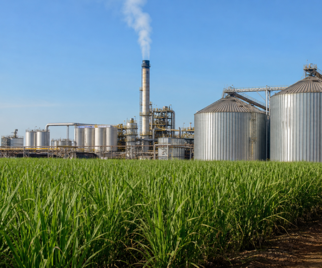 producao-da-agroindustria-cresce-1-8-em-abril-informa-fgvagro-1200x675.png