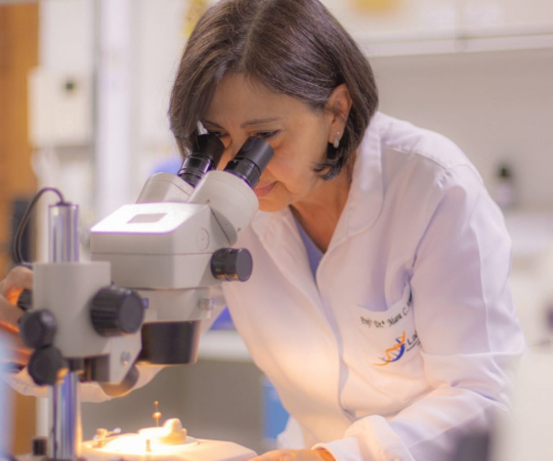16 programas de pós-graduação das universidades estaduais têm padrão de excelência internacional