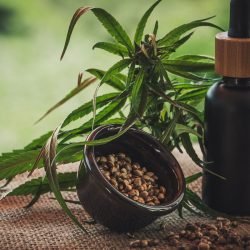 Projeto apoia mães e crianças atípicas tratadas à base de cannabis