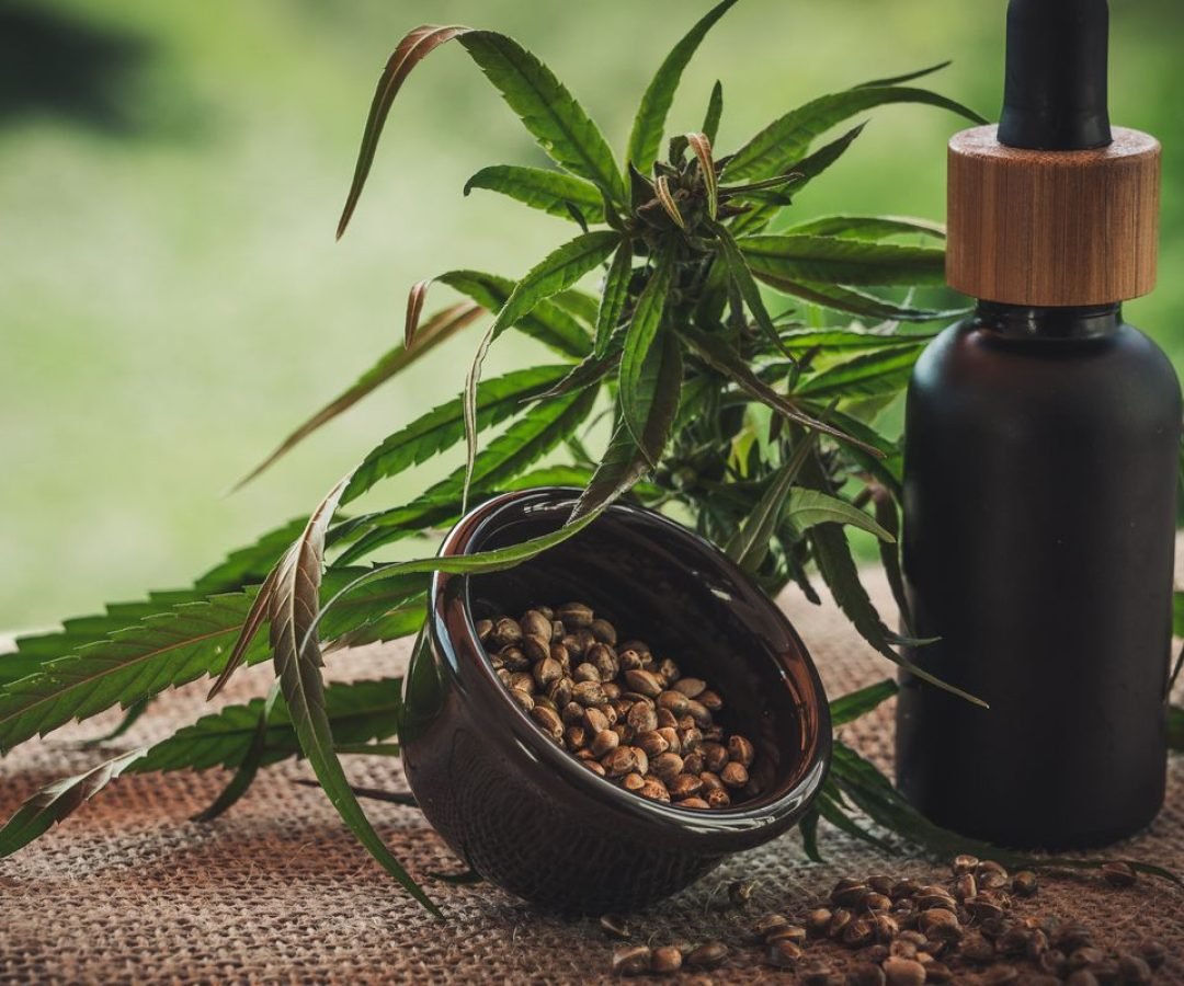 Projeto apoia mães e crianças atípicas tratadas à base de cannabis