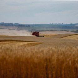 Soja e milho impulsionam Paraná com estimativa de 39,1 milhões de toneladas