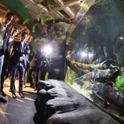 Foz do Iguaçu ganha um dos maiores aquários da América do Sul