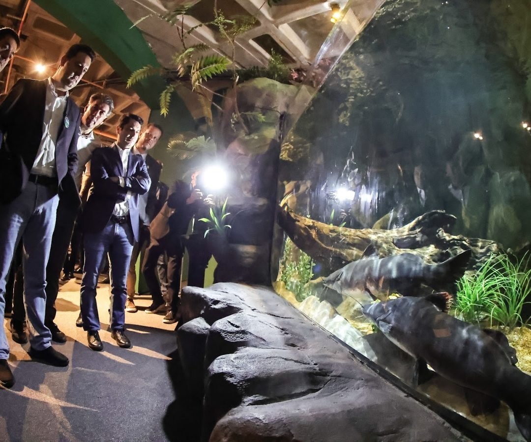 Foz do Iguaçu ganha um dos maiores aquários da América do Sul