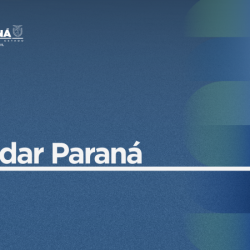 Casa Civil lança boletim com dados da economia e indicadores sociais do Paraná