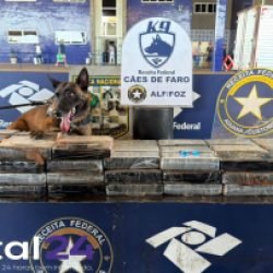 Receita Federal apreende cerca de R$ 7 milhões em cocaína na Ponte da Amizade