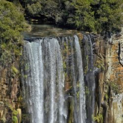 Verão na natureza: 5 cachoeiras para conhecer nas Unidades de Conservação do Paraná