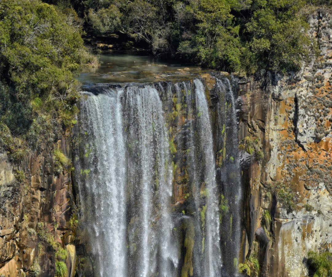 Verão na natureza: 5 cachoeiras para conhecer nas Unidades de Conservação do Paraná